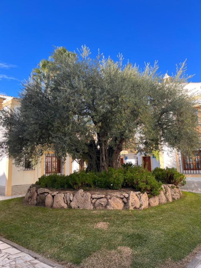 Apartamento Soleado Vera Costa, 200 M De La Playa Playas de Vera エクステリア 写真