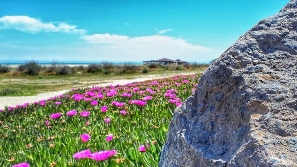 Apartamento Soleado Vera Costa, 200 M De La Playa Playas de Vera エクステリア 写真